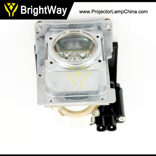 610-336-0362,LMP113  Projector Lamp Big images