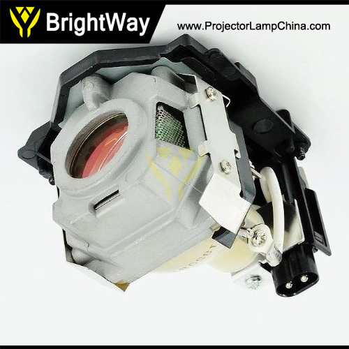 DXD 5022 Projector Lamp Big images