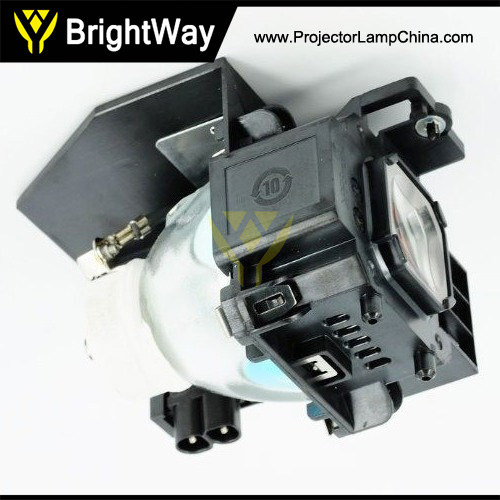 NP500WS Projector Lamp Big images