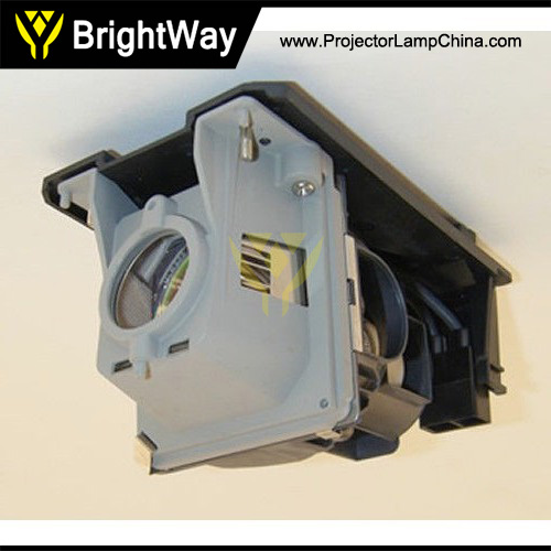 NP115G Projector Lamp Big images