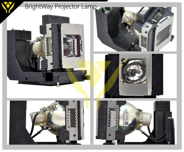PDG-DDET100L Projector Lamp Big images
