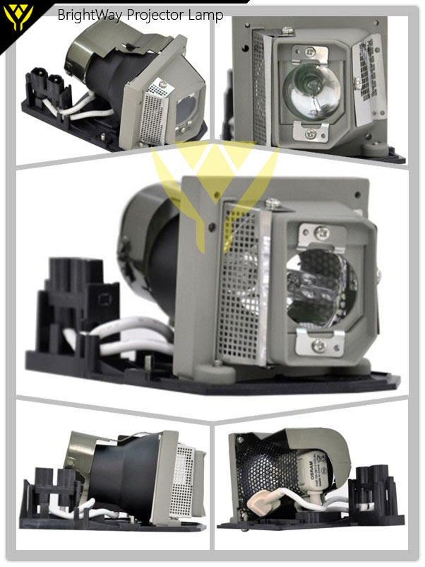 NP200G Projector Lamp Big images
