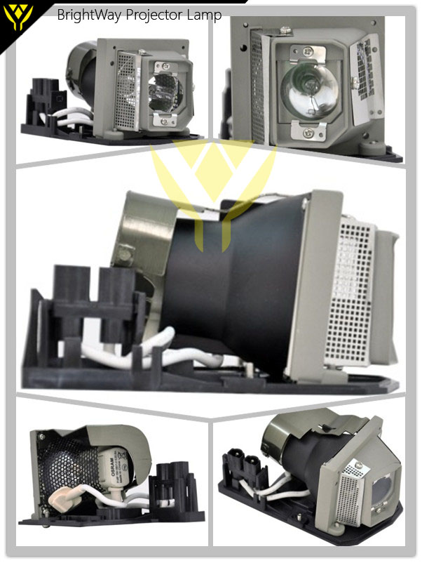 TLPLV9 Projector Lamp Big images