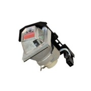 OPTOMA W301 Projector Lamp images