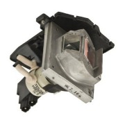 OPTOMA TX763 Projector Lamp images