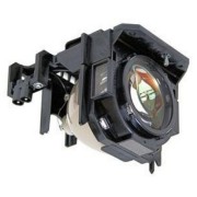 PANASONIC PT-D6000US Projector Lamp images