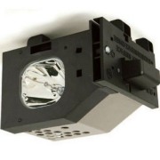 PANASONIC PT-50LC14 Projector Lamp images
