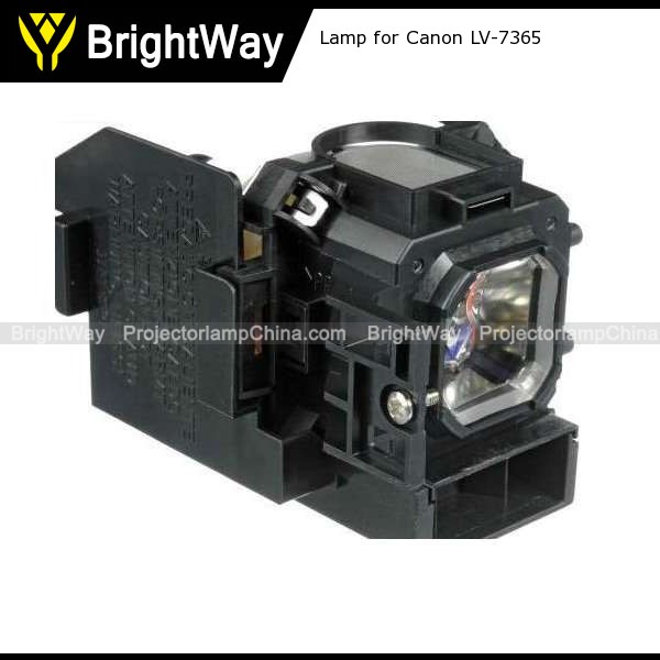 Replacement Projector Lamp bulb for Canon LV-7365