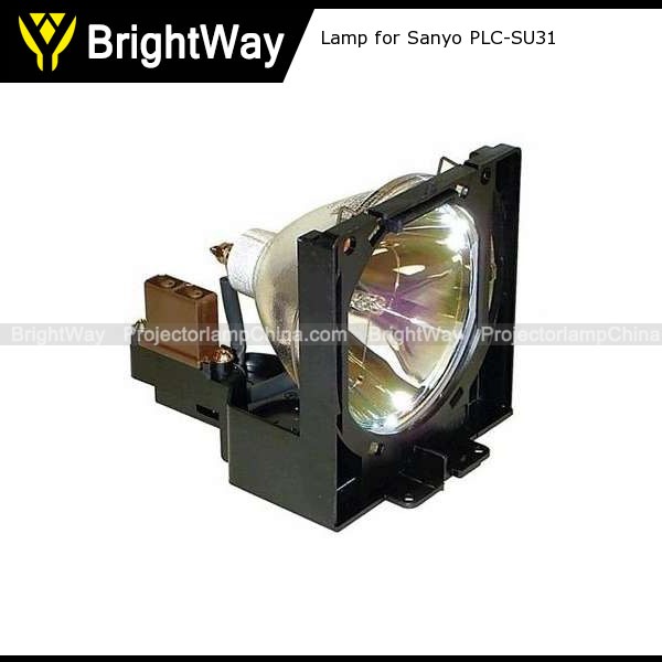 Replacement Projector Lamp bulb for Sanyo PLC-SU31