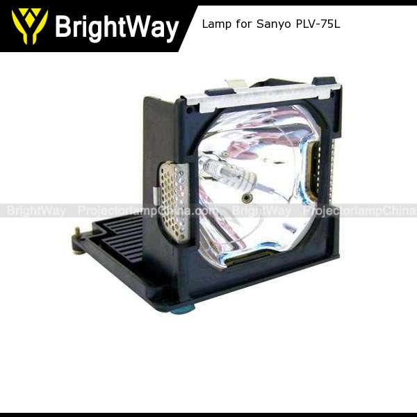 Replacement Projector Lamp bulb for Sanyo PLV-75L