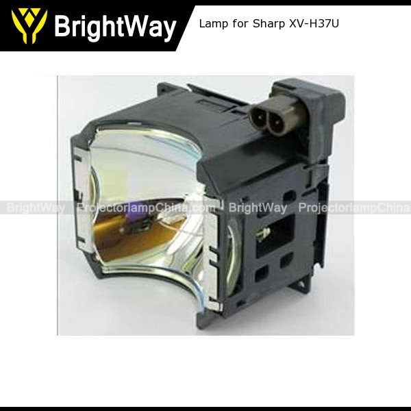 Replacement Projector Lamp bulb for Sharp XV-H37U