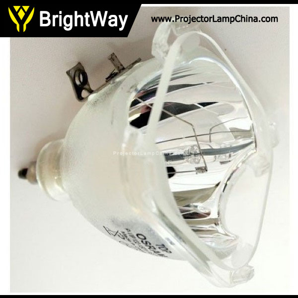 Replacement Projector Lamp bulb for ZENITH Z62DC1D