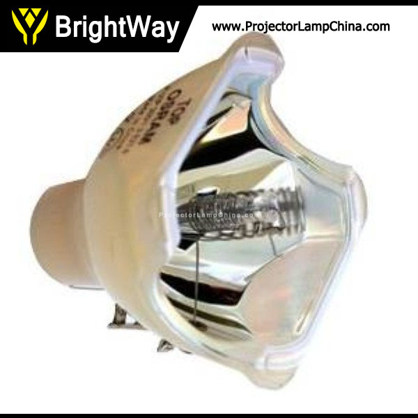 Replacement Projector Lamp bulb for MICROTEK CX7