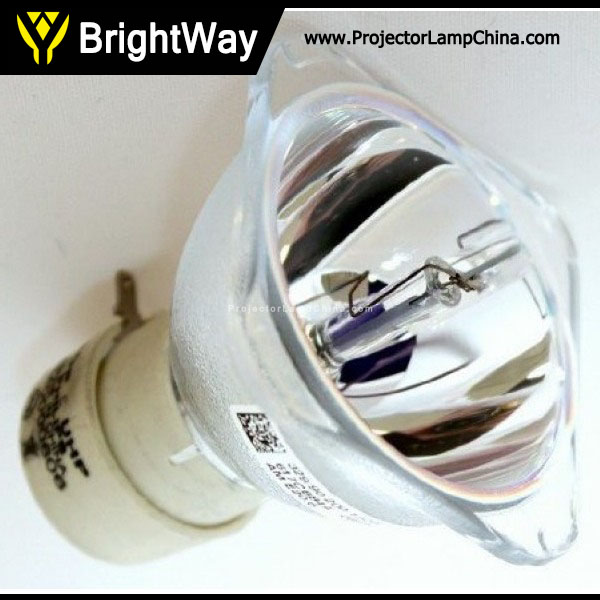 Replacement Projector Lamp bulb for SAMSUNG SP-DD300