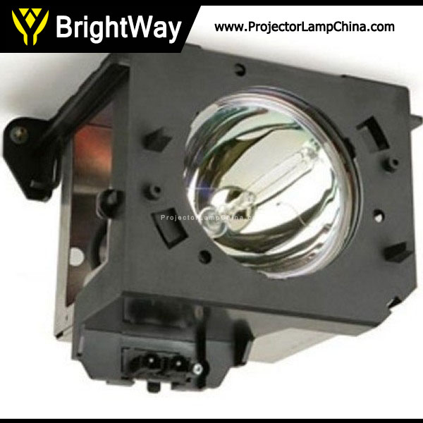 Replacement Projector Lamp bulb for SAMSUNG HLN4365W1X
