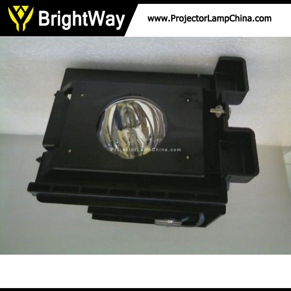 Replacement Projector Lamp bulb for SAMSUNG HLR5066WX/XAC