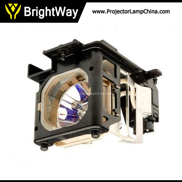 Replacement Projector Lamp bulb for COSTAR T755ST