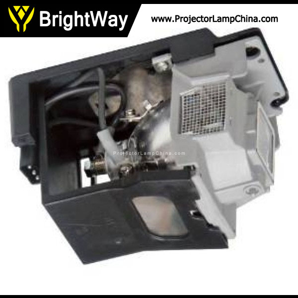 Replacement Projector Lamp bulb for TOSHIBA TLP-DS220