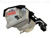 OPTOMA DS325 Projector Lamp images