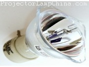 530 Projector Lamp images