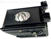 SAMSUNG HLR4667WX/XAA Projector Lamp images