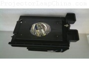 SAMSUNG SP46L6HX Projector Lamp images