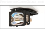 PANASONIC PT-DPX750 Projector Lamp images