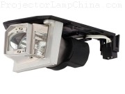 OPTOMA EW610STi Projector Lamp images
