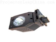 PANASONIC PT-50DL54J Projector Lamp images